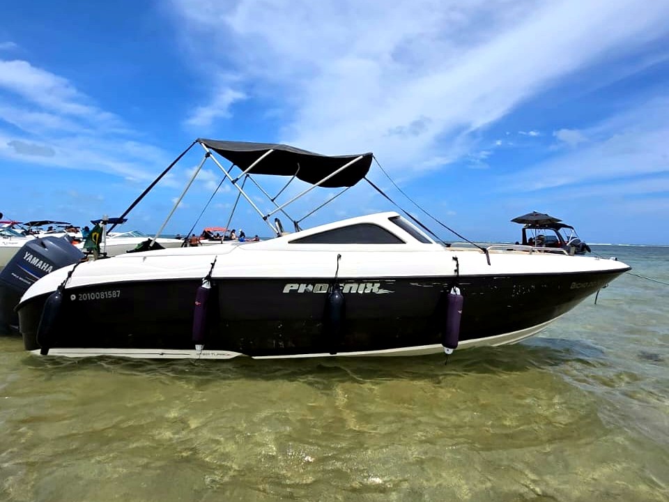 Phoenix 235 (Bicho do Mar)